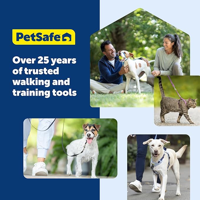 PetSafe Come with Me Kitty Harness and Bungee Leash Adjustable, Lightweight Harness for Cats Small, Dusty Rose