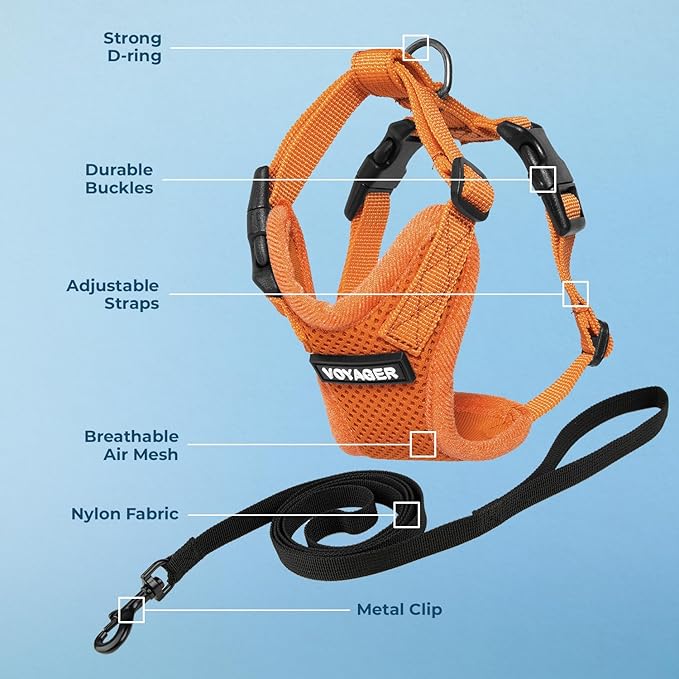 Voyager Escape-Proof Step-in Lock Cat Harness & 5ft Neoprene-Handle Leash Set All-Weather Mesh with Reflective Stitching for Small to Large Cats by Best Pet Supplies, Orange, XXS