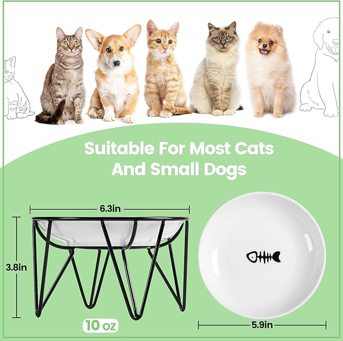 Ceramic Elevated Cat Bowls - Whisker Friendly, Anti-Vomiting Cat Food Plate, Stylish, Safe and Hygienic (Fishboon, 1 Pack)