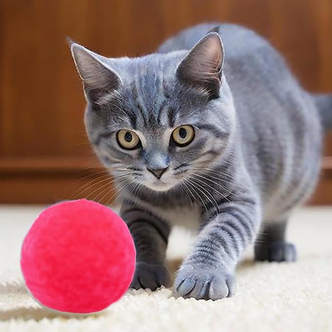 Cat Toy Balls, Cat Pompom Toys for Training and Play, Premium Soft Pom Pom Balls, Lightweight, Interactive, Assorted Colors, Craft DIY Decorations, (10PCS & 1.9Inches)