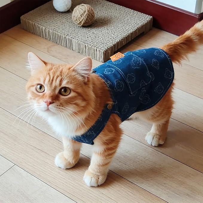 Walking-Ready Pet Jeans - Breathable Denim with D-Ring & Snap Buttons | Matching Bear Outfits for Dog & Cat Couples | Machine Washable (S-XL) (Medium, Jacket with Bear)