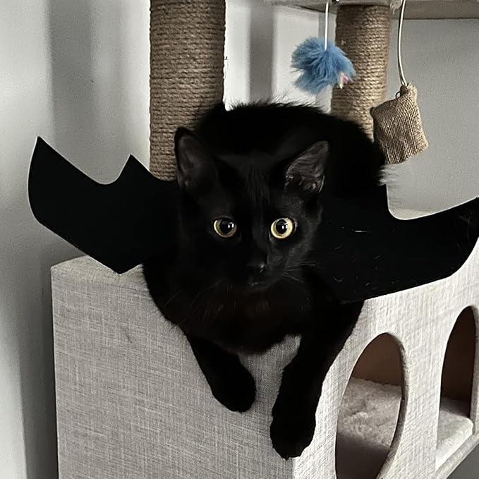 Qiansail Cat Bat Wings Pet Costume Cute Kitten Dress Up Accessories Puppy Appare Decoration for Halloween Cosplay Parties