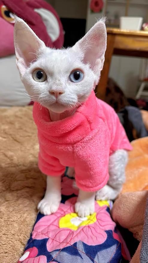 Sphynx Cat Clothes Winter Turtleneck Soft Coral Fleece Cat Clothes Thicken Warm Pajamas Coat for Hairless Cats and Small Cat Apparel with Sleeves (Rainbow Powder, XL (9.3-12.7lbs)