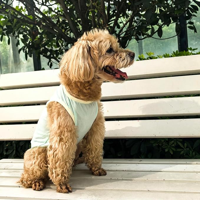 2Pcs Cooling Shirts for Small Dogs, Sleeveless Dog Vest, Lightweight Breathable Dog Summer Tank Top Sun Protection Shirts for Dogs Cats Pet Apparel (Yellow MintGreen, Medium Size for 5.0-8.5lb Pets)