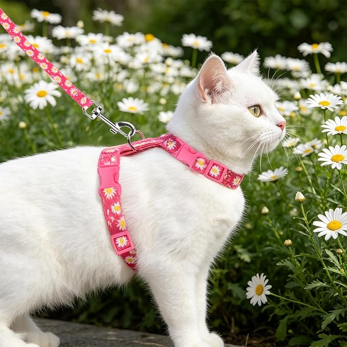 PUPTECK Adjustable Cat Harness and Leash Set Escape Proof Kitten Strap Collar for Walking Travel, Daisy Pattern
