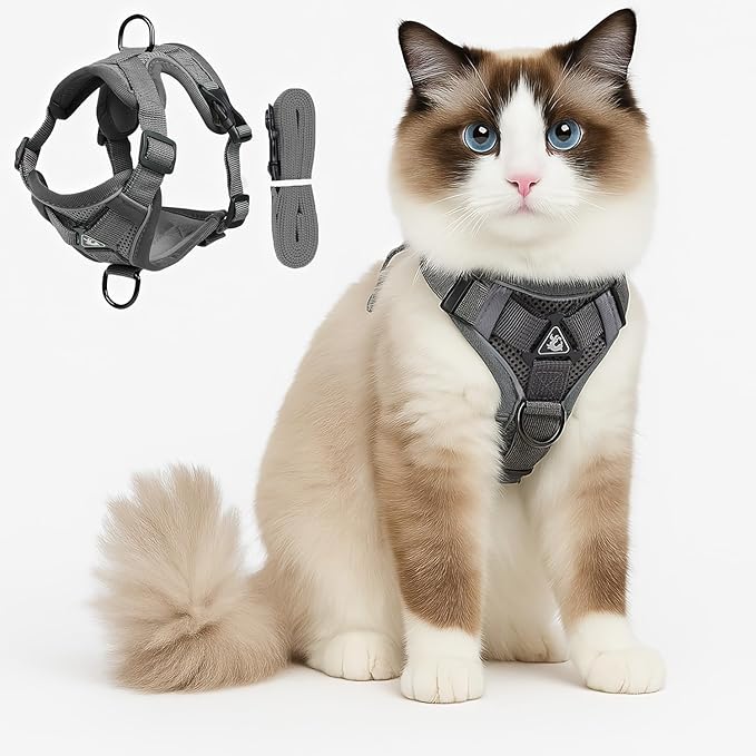Cat Chest Harness and Leash Set for Walking Escape Proof, Soft Adjustable Vest Harnesses for Cats, Kitten Jacket with Reflective Strip, Easy to Put on with 3 Buckles for Traveling (Grey, S)