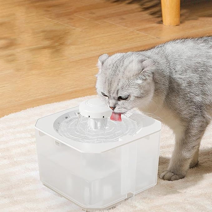 Cat Water Fountain | 2500ml Large Capacity USB Rechargeable Pet Accessories - Pet Water Fountain - for Puppy Animal Travel Crate House Outside Feeding Tipping Night Hot Day Offices Indoor Home