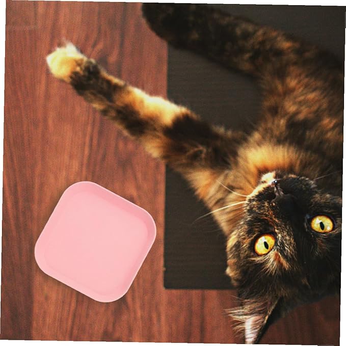 Beaupretty 8pcs Shallow Square Cat Bowls Kitten Food Dishes Set Small Size Multi-Color for Indoor Feeding and Watering