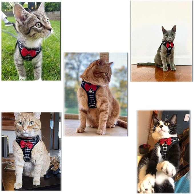 Cat Harness and Leash, Breathable Mesh Vest Harness for Puppy Cat Rabbit (Black, S)