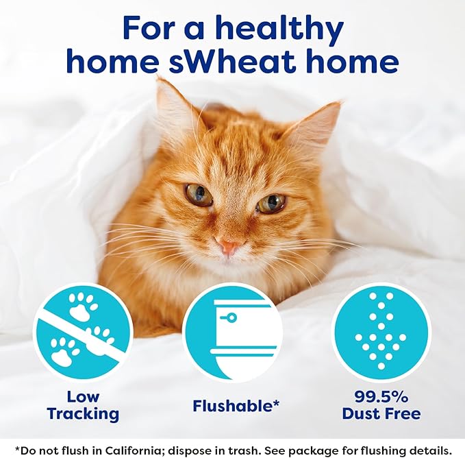 sWheat Scoop Natural Wheat Cat Litter, Original, Fast Clumping with Odor Neutralizing Enzymes, 14 Pound Bag