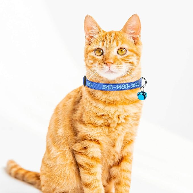 Personalized Cat Collar with Embroidered Name and Phone Number, Breakaway Safety Design