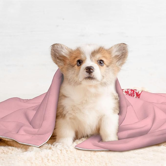 Cat Dog Blanket Simple Red Line Drawing Multi-Tiered Cake Ultra Soft Warming Mat for Indoor Pet Beds Furniture 27.6 X 19.7inch