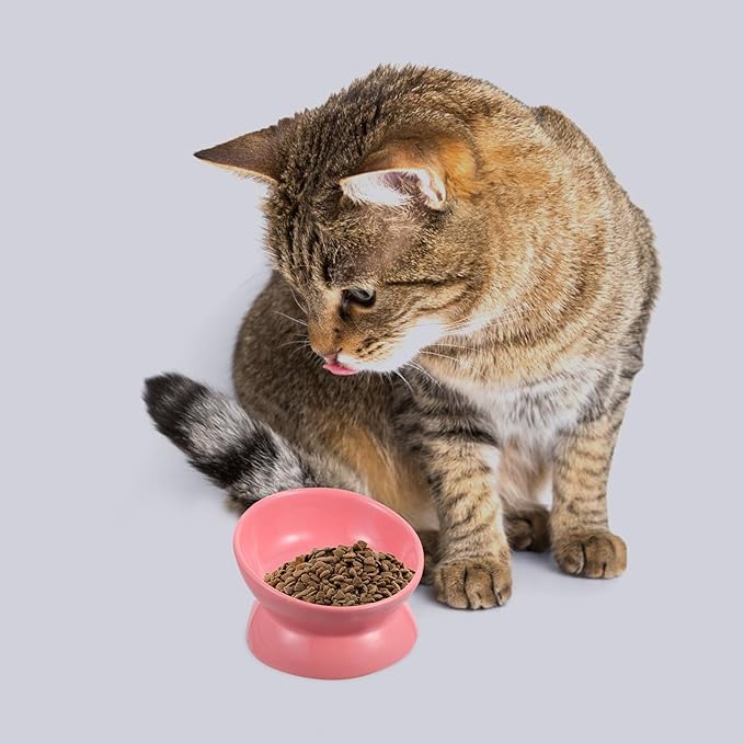 Ceramic Elevated Cat Bowl Tilted Raised Pet Feeder Bowl Neck Protection Non-Slip for Indoor Cats Feeding and Watering Random Color