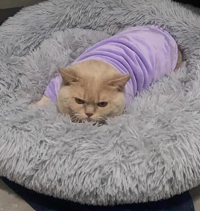 Sphynx Cat Clothes Winter Turtleneck Soft Coral Fleece Cat Clothes Thicken Warm Pajamas Coat for Hairless Cats and Small Cat Apparel with Sleeves (Taro Purple, XL (9.3-12.7lbs)