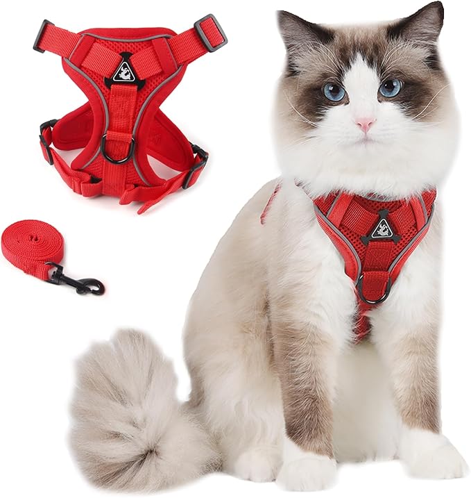 Cat Harness and Leash Set for Outdoor Walking, Upgraded Escape Proof Adjustable Kitten Vest with Lead for Small Cat, Soft Breathable Mesh Jacket with Reflective Strips for Dark Night (S, Fresh Red)