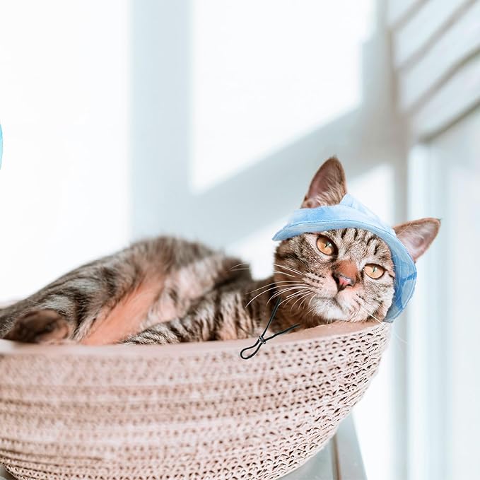Pet Hat with Ear Holes Sunscreen Cap, Adjustable String Dog Cat Summer Sun Hat,Cat Dog Bucket Hat for Birthday Party Costume Decoration Outdoor Hiking (Blue, Medium)