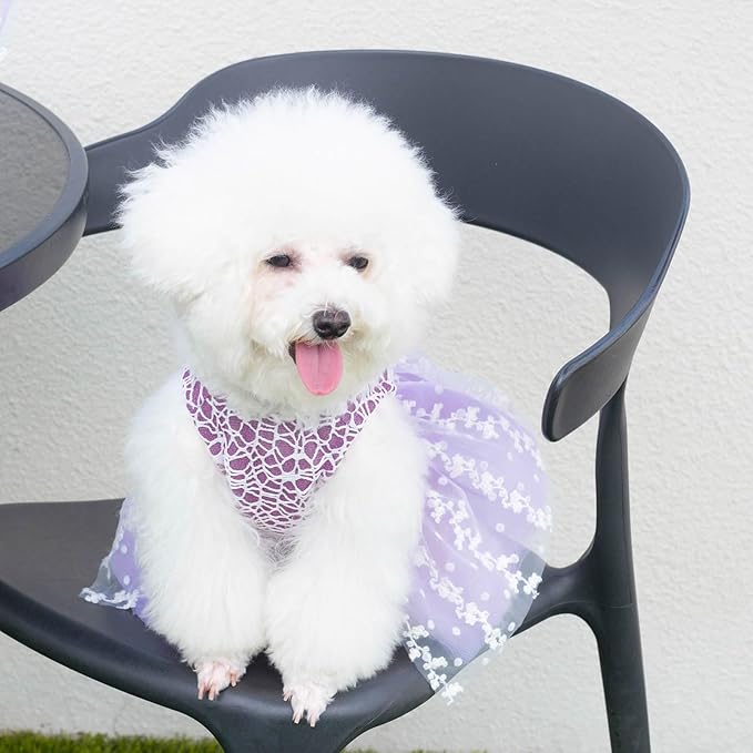 CuteBone Dog Birthday Dress Girl Puppy Skirt Tutu Cat Wedding Outfit Pet Party Clothes for Small Dogs Costume DD14XS