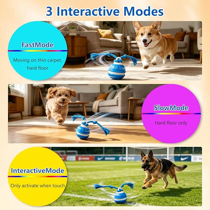Interactive Dog Ball, 360° Self-Moving Dog Toy with LED Lights & Squeaker, Automatic Fetch Toy for Boredom & Training, USB-C Rechargeable Smart Pet Toy for Small Medium Dogs & Cats