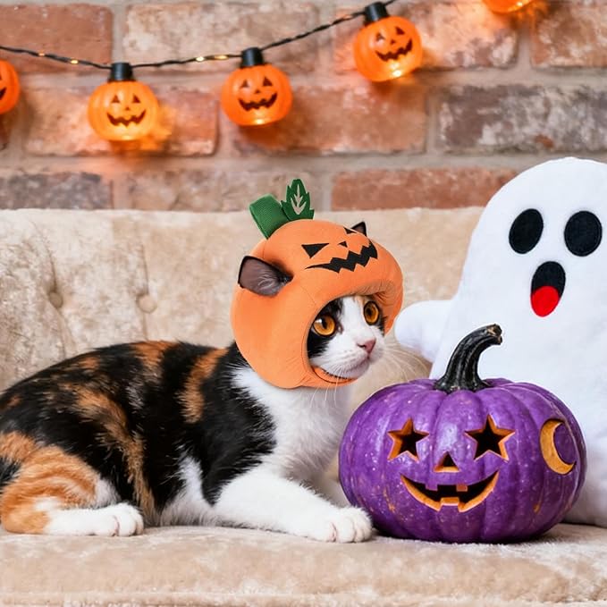 Cat Halloween Costumes Halloween Pumpkin Hat for Dogs Cats Adjustable Cute Orange Pumpkin Cap Festival Pet Head Dress Up Accessories for Halloween Puppy Kitten Cosplay Costume Gifts