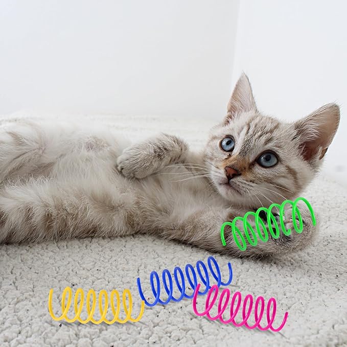 160 Pack Cat Spiral Spring, Cat Spring Toy Interactive Colorful Plastic Coils for Indoor Cats Swatting, Biting, Hunting Kitten Toys