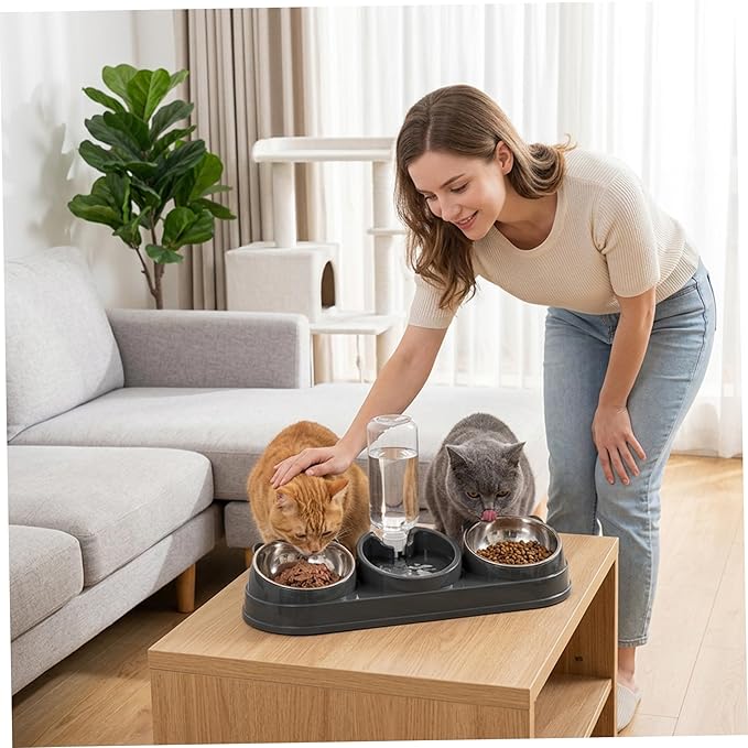 3 Bowl Cat Feeding Station Cat Food and Water Bowl Set, 3 Feeding Station with Automatic Water Dispenser, Elevated Tilted Bowls for Easy Eating, Black