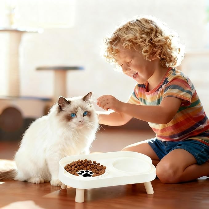Elevated Cat Bowls, 2 Ceramic Raised Cat Food and Water Bowl Set, Prevent Cat Chin Acne, Whisker Fatigue Friendly, Splash Proof & Dishwasher Safe for Indoor Cats and Small Dogs - White