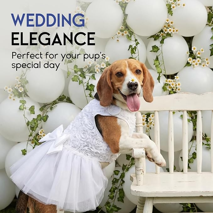 ASENKU Dog Dress Pet Wedding Dress Princess Lace Puppy Birthday Party Outfit Formal Apparel Girl for Small Medium Dogs Cats (Large, White)