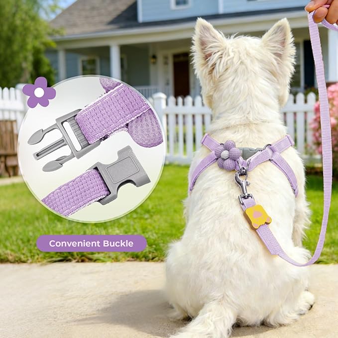 PETCARE Cute Flower Dog Harness and Bowtie Leash Set Easy Walk Puppy Dog Halter Harness for Small Dogs Girl Step in Dogs Harnesses with Buckle (Purple, Chest Adjustable 13"-20", Rope Width 0.79")