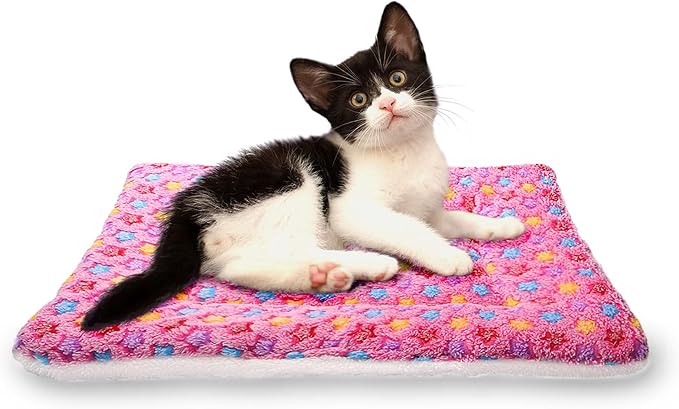 FJWYSANGU Fluffy Pet Cat Blanket Soft Coral Velvet Pet Puppy Cushion Mat Warm Cover Soft Pad Mat(Star V2/Pink,Small)