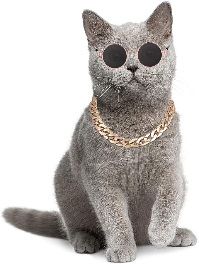 Molain Cat Sunglasses Gold Chain Costume Decorations UV Protection Classic Retro Puppy Retro Sunglasses Faux Photo Props