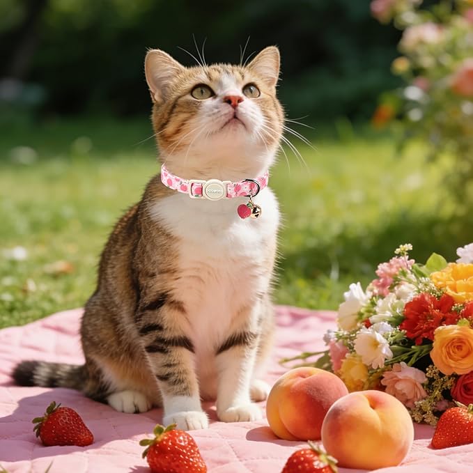 2 Pack Pink Strawberry Cat Collars Breakaway with Bell, DOGWONG Safety Buckle Peach Cat Collar for Girl Boy Cats and Small Dogs，Adjustable 7-12 Inch,Pet Supplies Accessories