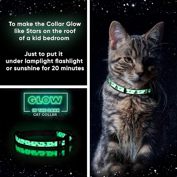 Pawtitas Glow in the Dark Cat Collar with Breakaway Safety Buckle & Bell Adjustable Kitten Collar, Red