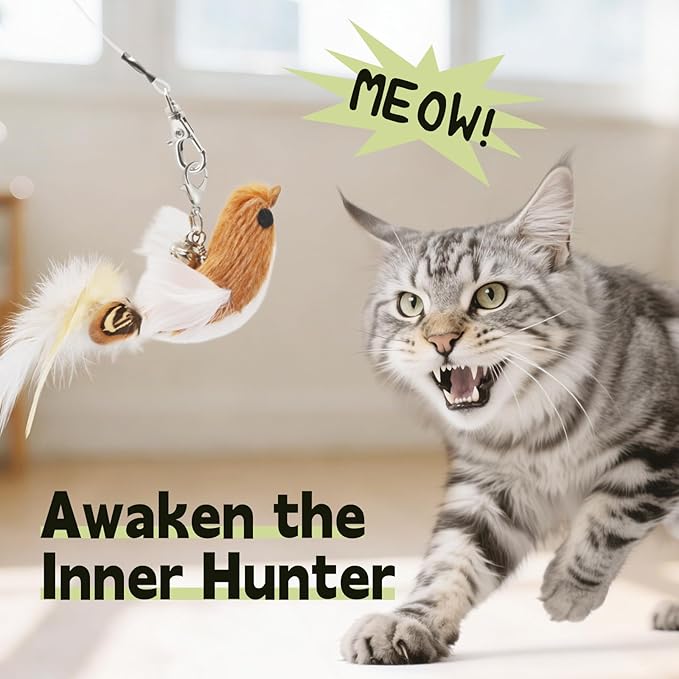 SONGWAY Interactive Cat Feather Toys - Cat Wand Toy Set with Retractable Teaser Wand and 6 PCS Natural Feather Refills, Da Bird Cat Toys for Indoor Cats Kittens