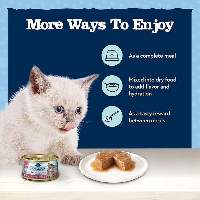 Blue Buffalo Baby BLUE Natural Grain-Free Wet Food for Kittens, Healthy Growth Formula with DHA, High-Protein Salmon Pate, 3 Ounce (Pack of 24)