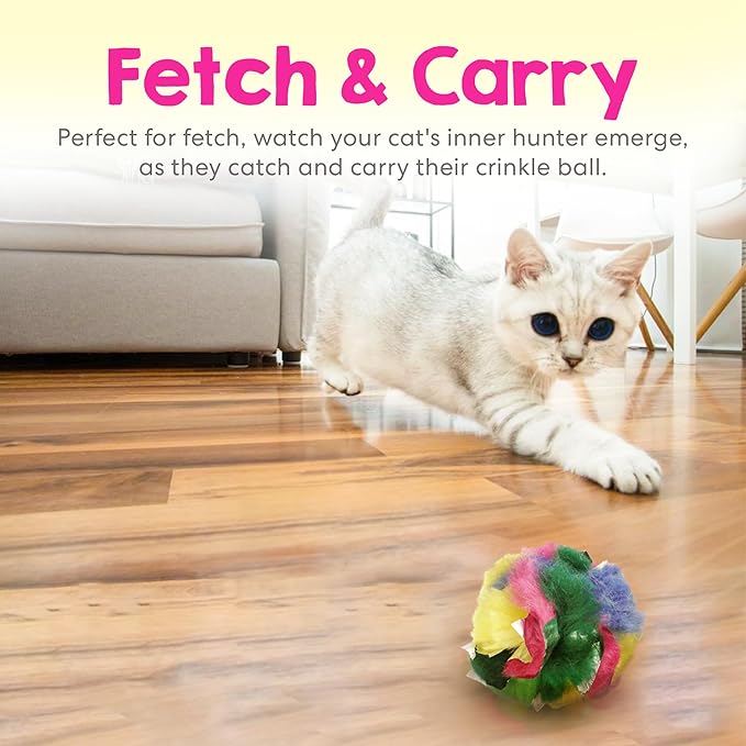 Crinkle Cat Toy Balls 4 Pack | Soft Cat Crinkle Toys for Indoor Cats & Kittens | Food-Grade Acetate Safer Than Mylar | Made in Canada