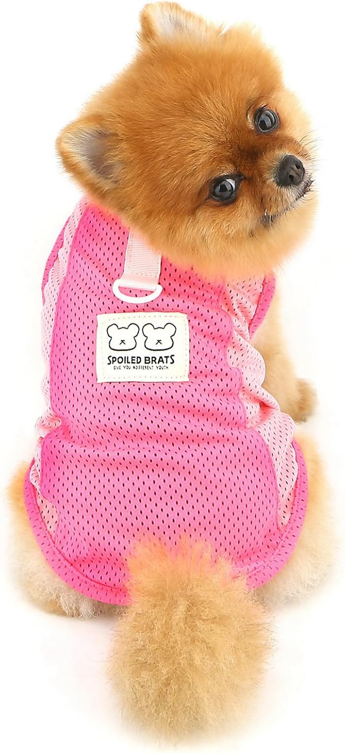 PAIDEFUL Breathable Mesh T-Shirt for Small Dogs Summer Doggie Cool Vest Soft Lightweight Puppy Tee Shirts Sleeveless Pet Tank Top Sweatshirts Cozy Chihuahua Clothes Cat Apparel D-Ring,Pink,M