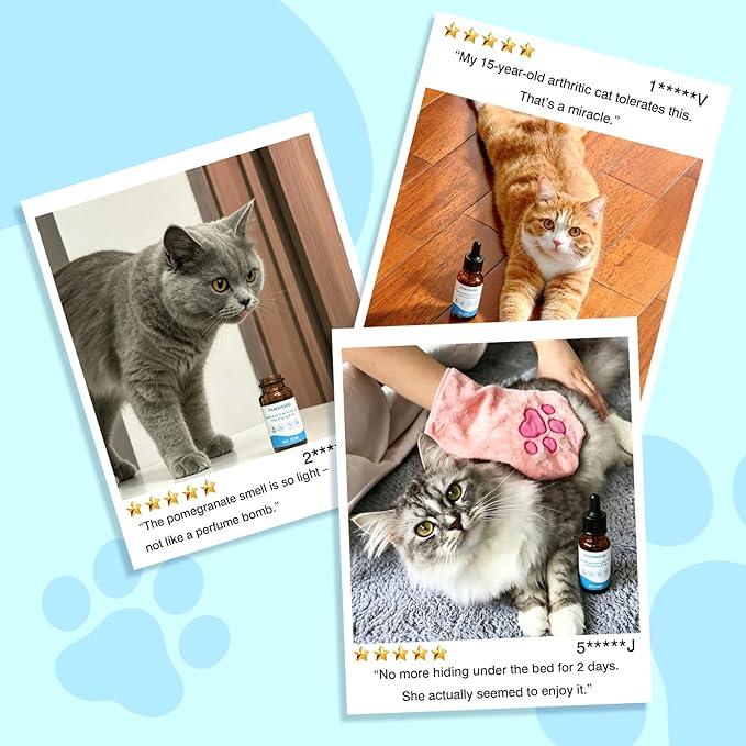 2Pcs Waterless No-Rinse Pet Shampoo Essence for Dogs & Cats, Concentrated Deodorizing Formula Neutralizes Odors & Hydrates Coat with Pomegranate Scent, for Steam Brush,0.34 oz*2