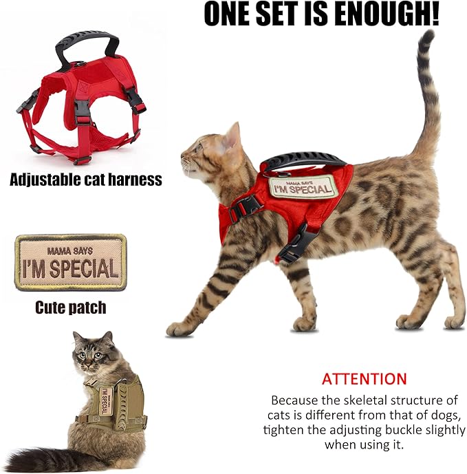 AIWAI Tactical Cat Harness for Walking Escape Proof, Adjustable Pet Vest Harness with Control Handle for Large Cat Small Dog, Soft Mesh, Gift with Patch