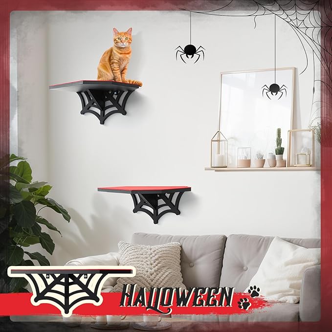 Gemscream Gothic Wall Mounted Halloween Shelf Coffin Spider Web Style Cat Tree Wall Load Bearing up to 30 Lbs/ 14 kg Black Cat for Indoor