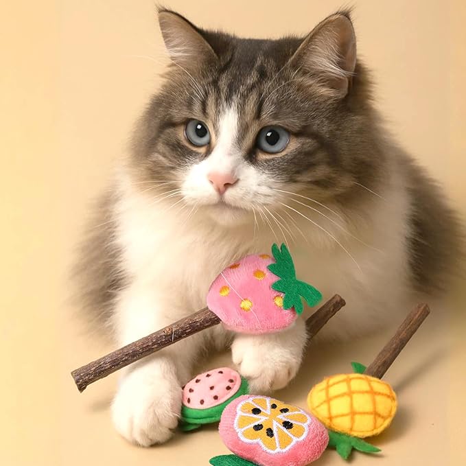 Ptwola 4 Pcs Natural Fruit Silvervine Sticks Cat Kittens Chew Toys Indoor Lollipops Interactive Cat DentalTeething Nip Treat Toys Care Teeth Cleaning for Bored Essentials Increase Appetite Kicker