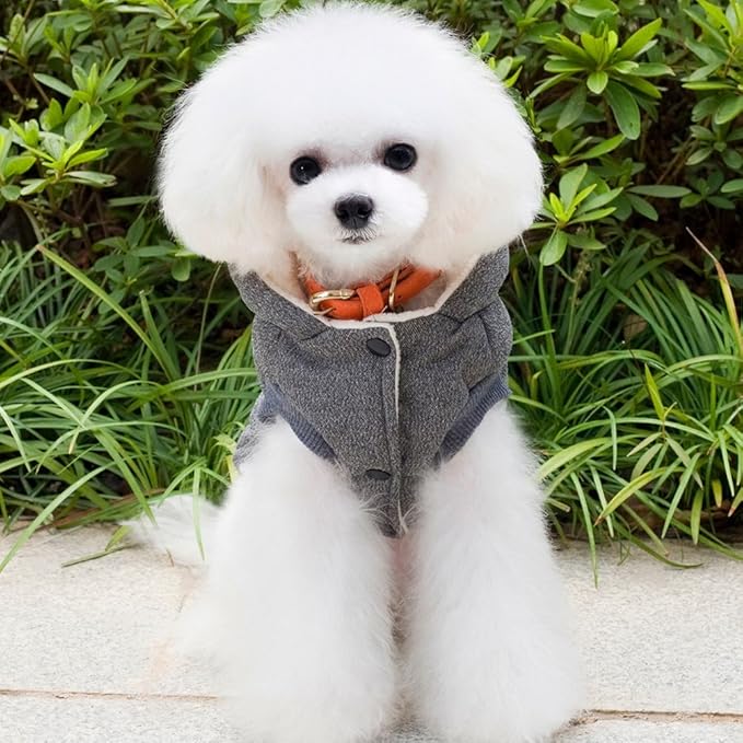 Fleece Dog Hoodie Winter Coat for Small Boy Dog Cat Puppy Cotton Hooded Jacket Chihuahua Clothes Grey XXL