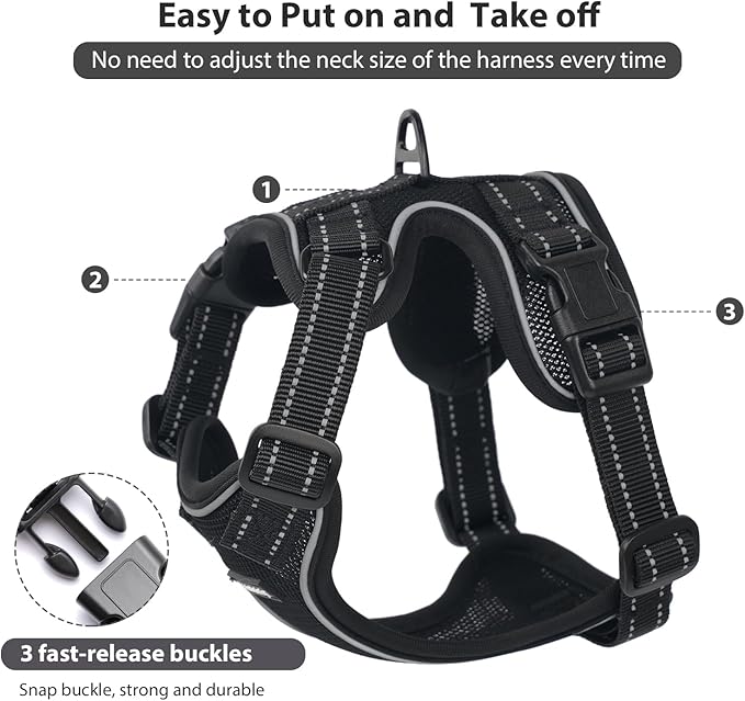 Rttochfy Cat Harness and Leash Set, Adjustable and Reflective Cat Vest, Escape Proof Kitten Harness, Easy to Put on with 3 Buckles for Cats Walking and Traveling (Black, S)
