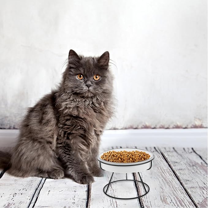 TEHAUX Ceramic Raised Slow Feed Cat and Dog Bowl with Stand, Whisker-Friendly Elevated Pet Feeder for Indoor Cats and Puppies, Black Slow Eating Dish