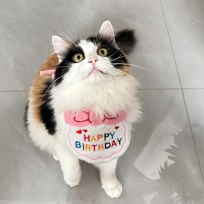 Lasflores Pink Girl Cat Birthday Supplies Set - Kitten Hat, Number Decor & Happy Birthday Banner Outfits