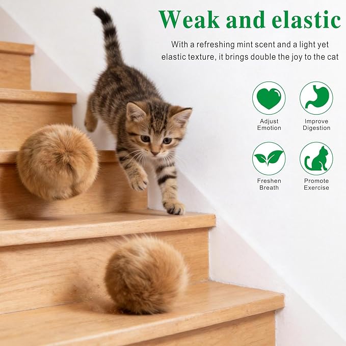Catnip Cat Toys 5 Pack Interactive Chew Kitten Ball Cat Catnip Toys for Indoor Cats Exercise Cat nip Toy to Stimulate Play & Reduce Boredom