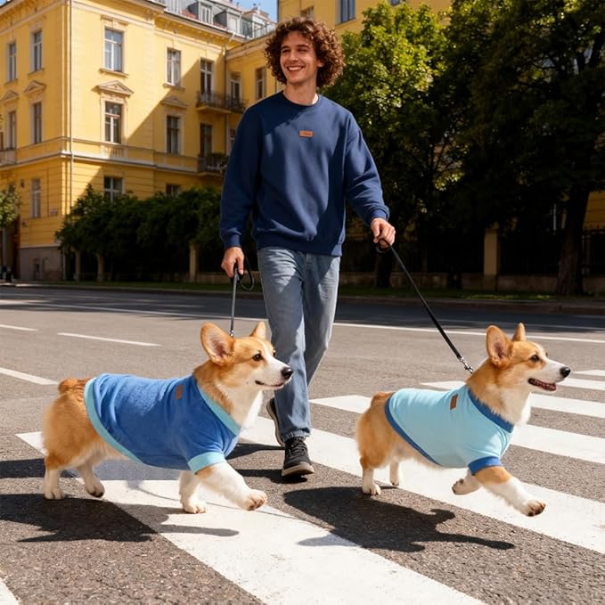 Classic Fleece Dog Sweater – Soft & Warm Stretchy Sweatshirt for Small Dogs & Cats, Cold-Weather Pullover for Everyday Wear (Light Blue, Large)
