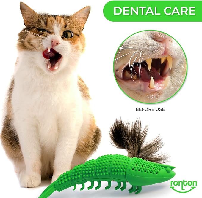 Ronton Cat Toothbrush Catnip Toy - Durable Hard Rubber - Dental Care, Cat Interactive Toothbrush Chew Toy (1 Pack Green (Shrimp)