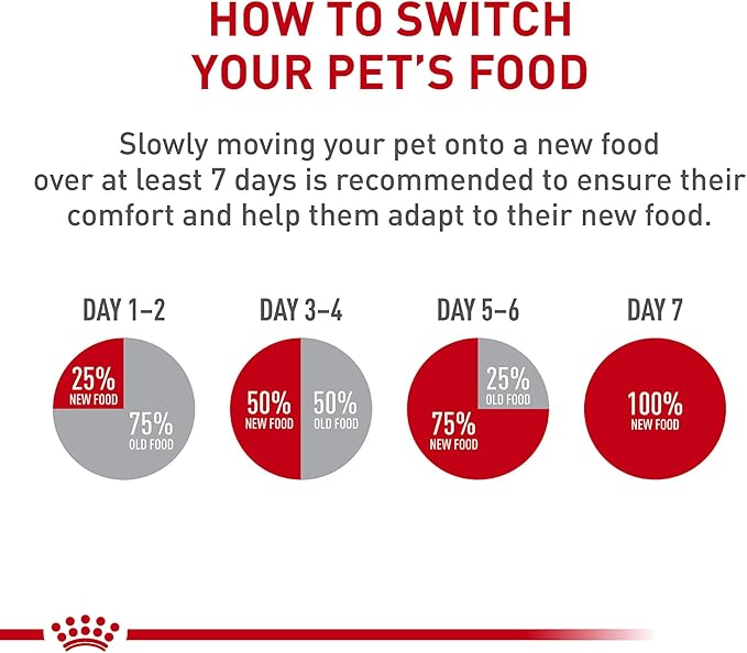 Royal Canin Feline Health Nutrition Indoor Adult & Adult Instinctive Thin Slices in Gravy and Morsels in Gravy Variety Pack Cat Food, 3 oz (Pack of 12)