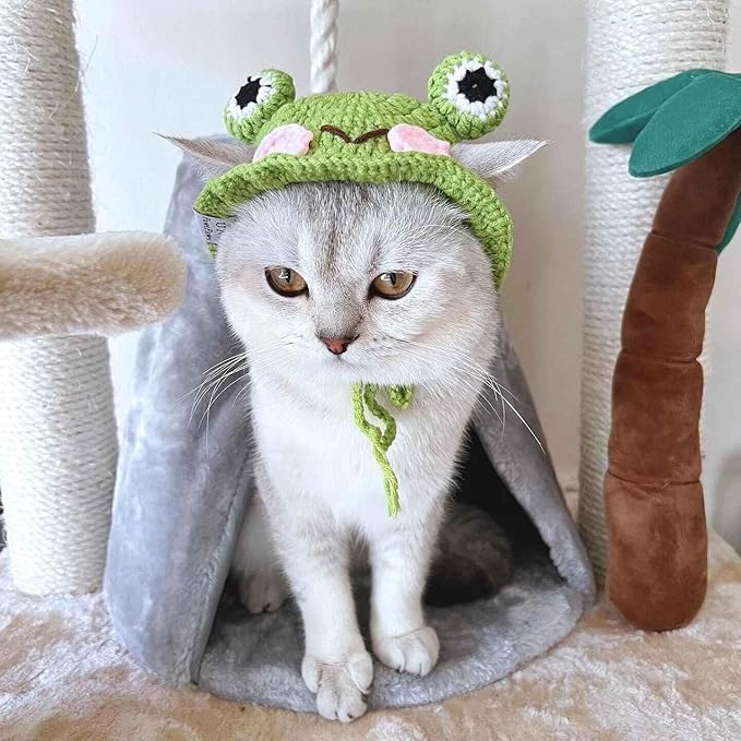 Cute Cat Hat Frog Shape Pet Cap Funny Costume Weaving Puppy Cat Hat Head Wear Accessories for Kitten
