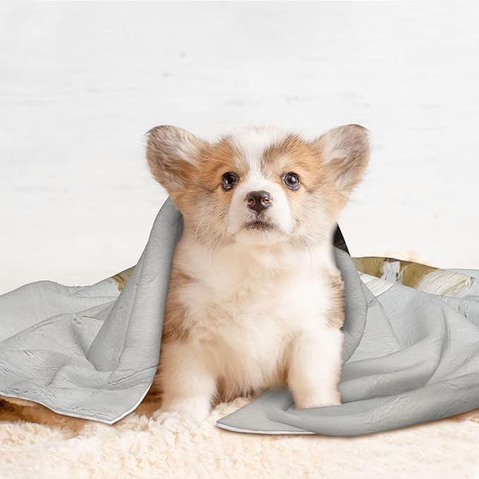 Cat Dog Blanket Woman Back Brushstrokes Minimal Ultra Soft Warming Mat for Indoor Pet Beds Furniture 27.6 X 19.7inch